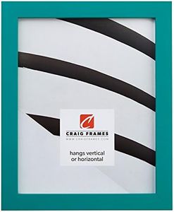 Craig cornici, Legno Massiccio, Finitura Liscia Composito.875-inch Largo, varietà di Colori Fun