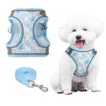 PawSailor No Pull Dog Harness and Leash Set, Step-in Floral Print Adjustable Breathable Mesh Pet Harness, Reflective Soft Padded Vest Harness for Small Dogs Blue XXS