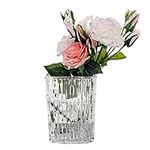 Glass Vases for Flowers | Transpare