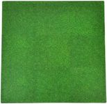 Tadpoles 9 Tiles Grass Print Floor Mats | Interlocking Tiles with 12 Border Pieces | Soft EVA Foam | Safe & Durable | Total Floor Coverage 36” x 36” | Ages 3 & Up | Grass