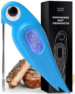 Thermometr
