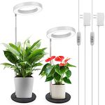 LORDEM Grow Light, LED Plant Light for Indoor Plants Growing, Full Spectrum Desk Growth Lamp with Automatic Timer for 4H/8H/12H, 4 Dimmable Levels, Height Adjustable 9.8"-30.6", Pack of 2