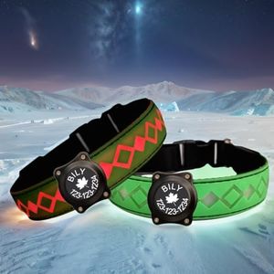 Personalized Flashing Night Dog Collar with Waterproof airtag Holder for Black Dog Night Walking (Green, M(11.8-15.7"))