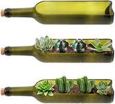 BELLE VOUS Glass Wine Bottle Succulent Planter Pots (3 Pack) - L32 x W7.1cm / 12.6 x 2.8 Inches - Oval Cut Out Section - For Plants, Flower, Cactus, Bamboo, Garden, Terrarium & DIY Decor