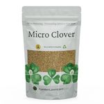 Micro Clover Seed for Lawn UK - 100% Small Leaf White Clover - Over Seeding or New Areas - 1kg Pack