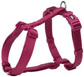 Lightweight Dog Harness