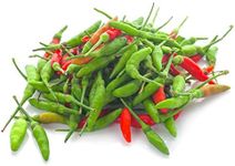 Chilli Asian Birds Eye Vegetable Garden Super HOT Indian 10 Chili Seeds Pepper