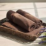 Pure Home + Living Set of 4 Cotton Hand Towels (Dark Brown)