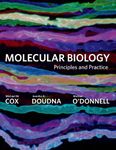 Molecular Biology: Principles and Practice