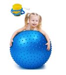 JELLEX Large Sensory 75 CM Spike Gym Ball Fitness Gym Balance Stability Exercise Ball with Air Pump for Gym Exercise & Fitness, Core Training & Stretching, Best Birthing Ball for Pregnancy- (Blue)