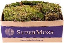 SuperMoss (21537 Mood Moss Dried, Natural, Bulk 1565 Cubic Inches