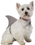 Rasta Imposta Shark Fin Dog Costume