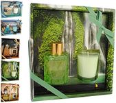 THE LONDON FRAGRANCE STORE - Relaxation - Luxury Scented Candle + Reed Diffuser - High-Quality Fragrance Oils - Lavender Forest - Our Wax Lasts Longer - Cotton Wick - Lavender