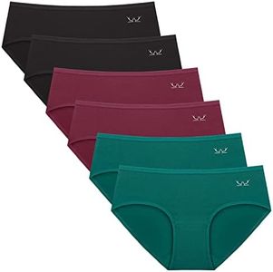Benirap Womens Underwear Soft Cotton Hipster Panties Breathable Briefs 5 or 6 Pack