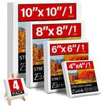 4 Packs Square Canvases for Paintin