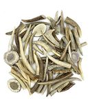 Antler Tips 20 Pack for Jewelry Earrings,Pendants,Decorative Crafts Or Flintknapping