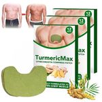 GFOUK TurmericMax Gynecomastia Compress Patch, Luhaka Gynecomastia Cellulite Melting Patch, Gynecomastia Tightening Ginger Patch, Gynecomastia Cellulite Patch for Men (36Pcs/3 box)