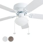 Hunter Hugger Ceiling Fan With Light