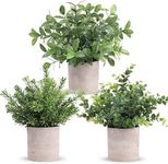 Der Rose 3 Pack Mini Potted Fake Pl