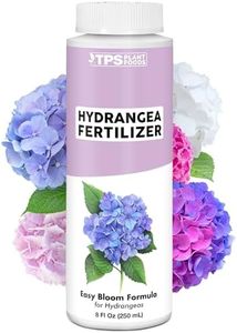 Hydrangea 