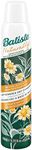 Batiste Naturally Dry Shampoo, Green Tea & Chamomile, Refresh Hair and Absorb Oil Between Washes, Waterless Shampoo for Added Hair Texture and Body, 200-ml