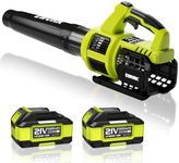 EWORK Cordless Leaf Blower 21V Elec