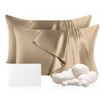 THXSILK Set of 2 100% Mulberry Silk Pillowcase for Hair and Skin, Grade 6A+ Mulberry Silk Pillow Cases 22 Momme, Hypoallergenic Pillow Case Cover with Zipper (Queen 20"x30", Taupe)