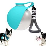 ZFFAFUR Foldable 2 in 1 Portable Dog Water Bottle – Stainless Steel Bottle with Silicone Bowl for Walks & Hiking, Leak-Proof Travel Pet Water Dispenser for Small Dogs (Blue)
