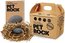 Pet Rock - The Original by Gary Dah