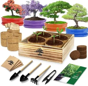 Bonsai Tree Kit, Bonsai Starter Kit with 4 Types of Seeds, Tools & Planters, Bonsai Tree Live Plants Indoor, Gardening Gifts for Women Men Mom Father Plant Lover, Unique Christmas Gifts