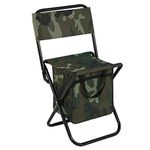 Folding Bag Chair