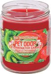 SPECIALTY PET PRODUCTS Kiwi Twisted Strawberry Pet Odor Exterminator 13 Ounce Jar Candle