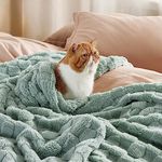 Bedsure Soft Fleece Twin Blankets for Bed, Sage Green Checkered Blanket for Couch, Sofa, Chair, Warm Cozy Thick Fluffy Fuzzy Plush Winter Cute Blanket Gifts for Women, Girls, 60x80