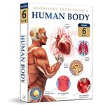 Human Body Box Set Knowledge Encyclopedia For Children