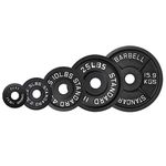 HAJEX Weight Plates - Standard Weights 1" & Olympic Weights 2" (Cast Iron Plates 2", 25 lbs, Pair)