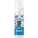 BUGALUGS Dog shampoo for itchy skin - Skin Safe Sensitive Dog Shampoo & Cat shampoo Formula– Dog Shampoo For Smelly Dogs For Cuts, Grazes & Irritated Wrinkles And Skin Fold (No Rinse Shampoo 200ml)