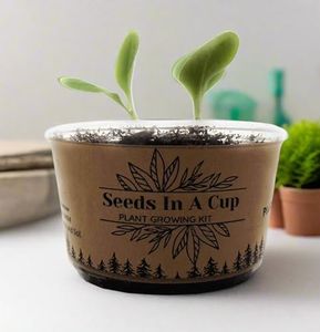 Seeds in A Cup- Tree Growing Kit (Southern Magnolia)