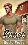 Romeo: A Small Town Romance (Payne Brothers Romance Book 6)