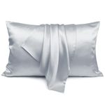 LULUSILK Silk Pillow Case Queen Size with Hidden Zipper, Silvergrey 100 Pure Mulberry Silk Pillowcase for Hair and Skin, Pack of 1