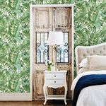 Tropical Leaf Wallpaper Palm Tree White Green A Street Prints Paste Th