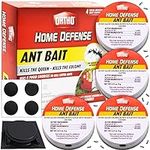 Ant Traps Indoor by Ortho Home Defe