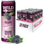 Wild Society Natural Energy Drink + Nootropics (12 pack) - 100 mg Organic Caffeine from Green Tea - Zero Sugar & Zero Calories - Monk Fruit Sweetened - Clean Ingredients - Fuel Mind & Body