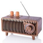 CYBORIS Retro Bluetooth Speaker With FM Radio,Walnut Wood Vintage Portable Speakers,wireless speakers with bluetooth 20W,Support USB-C Disk/TF Card/Aux Player,Retro soundcore for Home Gift/Decor