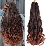 French Curly Braiding Hair 6 Packs 24 Inch Pre Stretched Braiding Hair Bouncy Loose Wave Crochet Hair Curly Braiding Hair for Black Women (T33)