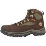 Timberland Men's Chocorua Trail Casual Shoes,Brown/Green Leather,11.5 UK