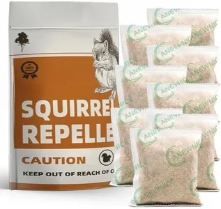 Squirrel R