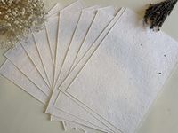 A4 & A5 Plantable Seed Paper/Card - Eco Friendly Print at Home Craft Paper with Wildflower Seed Mix (A4 Pack of 10 Seeded Paper)