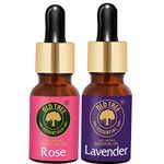 Old Tree Rose and Lavender Essential Oil Combo Pack (15ml each) - Pure, Natural and Undiluted Essential Oil with Glass Dropper for Fragrance, Diffuser, Skin, Hair, Aromatherapy and Massage