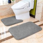 Bathroom Rugs Set 2 Pieces - Bath Rug & Toilet Mat Ultra Soft Absorbent Non-Slip Fluffy Thick Microfiber Cozy Bath Mats Set for Tub Shower Bathroom Floors Accessories (Dark Gray)