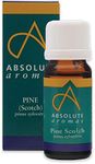 Absolute Aromas Pine Essential Oil 